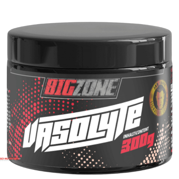 Big Zone - Vasolyte Elektrolyte; Fitnessshop Berlin